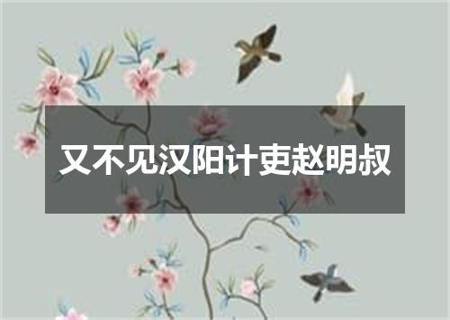 又不见汉阳计吏赵明叔