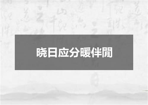 晓日应分暖伴閒