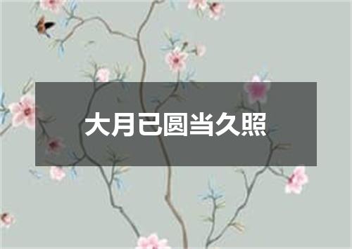 大月已圆当久照