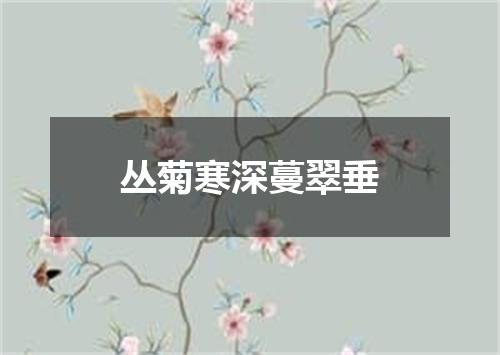 丛菊寒深蔓翠垂