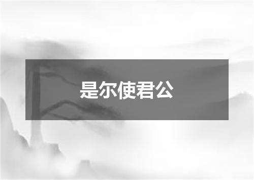是尔使君公