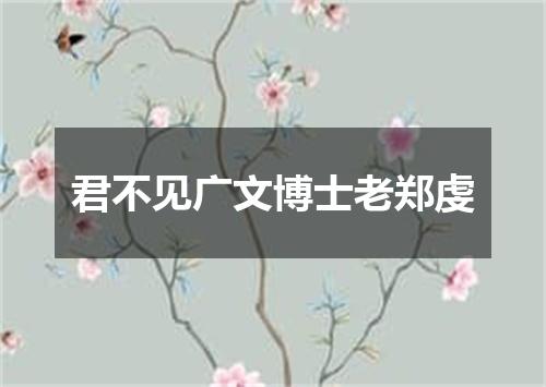 君不见广文博士老郑虔
