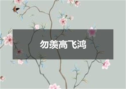 勿羡高飞鸿