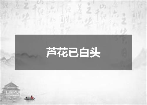 芦花已白头