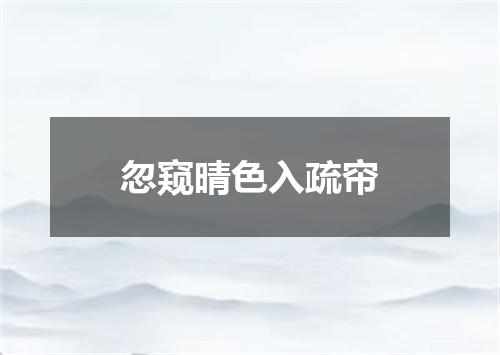 忽窥晴色入疏帘