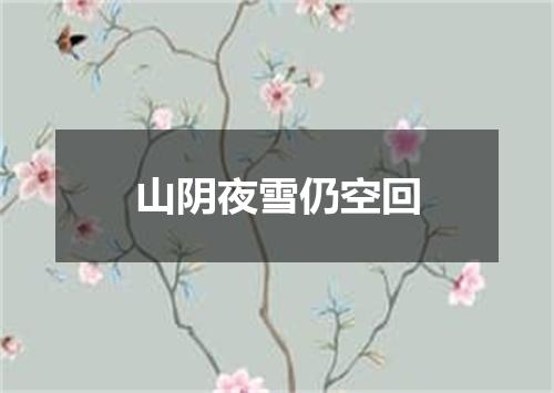山阴夜雪仍空回