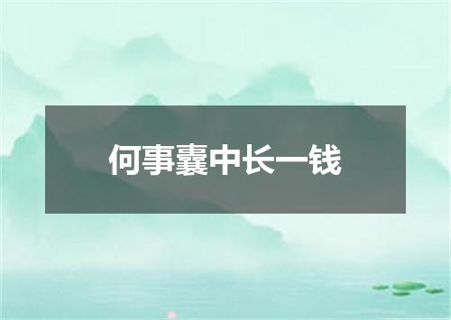 何事囊中长一钱