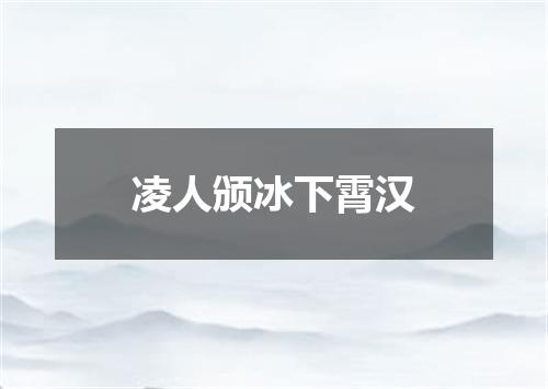 凌人颁冰下霄汉