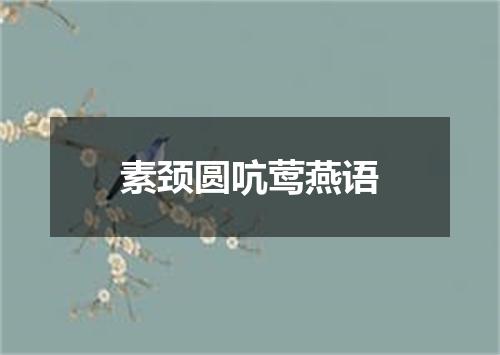 素颈圆吭莺燕语