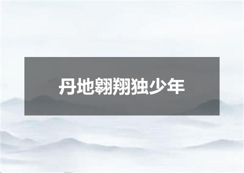 丹地翱翔独少年