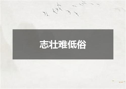 志壮难低俗