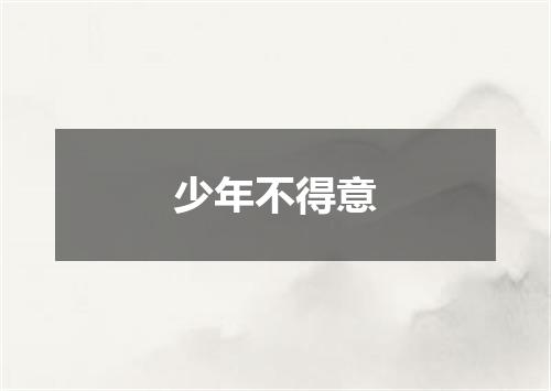 少年不得意