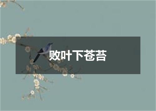 败叶下苍苔