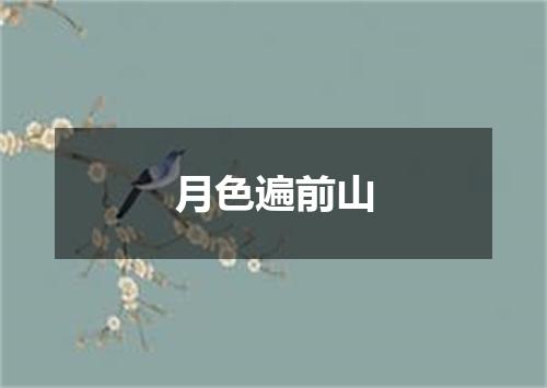 月色遍前山