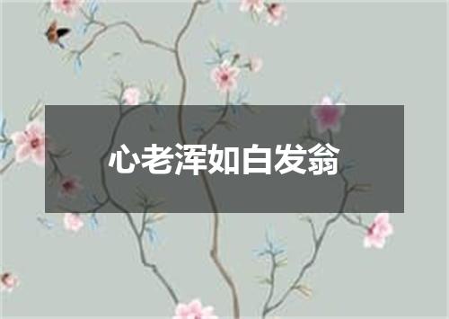 心老浑如白发翁