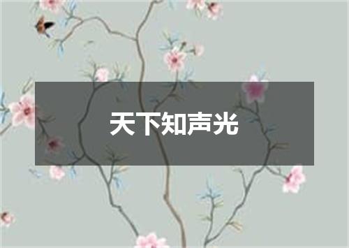天下知声光