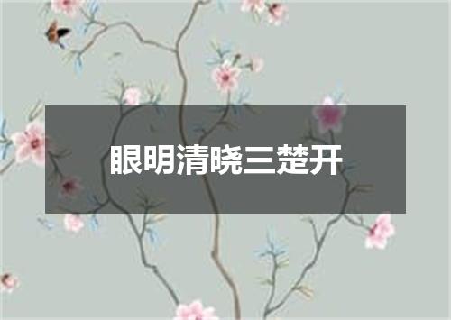 眼明清晓三楚开