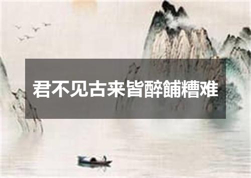 君不见古来皆醉餔糟难