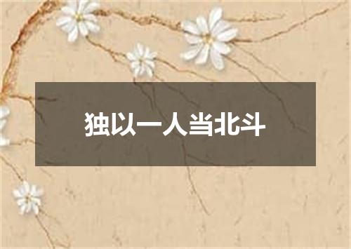 独以一人当北斗