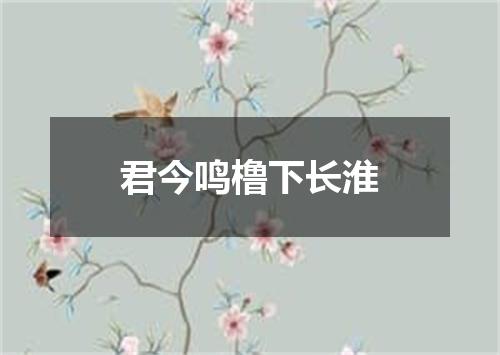 君今鸣橹下长淮