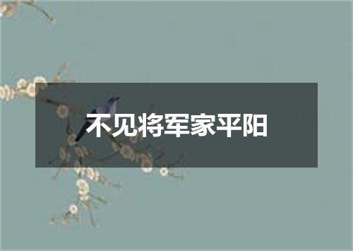 不见将军家平阳