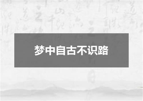 梦中自古不识路