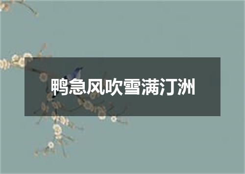 鸭急风吹雪满汀洲