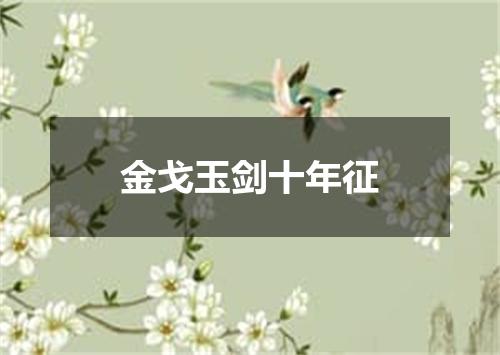 金戈玉剑十年征
