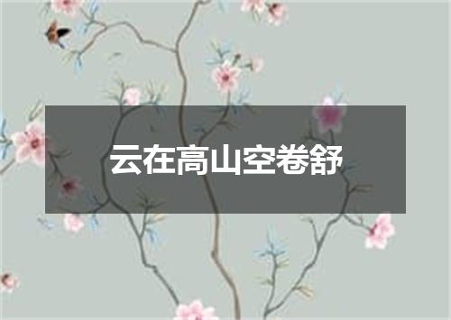 云在高山空卷舒