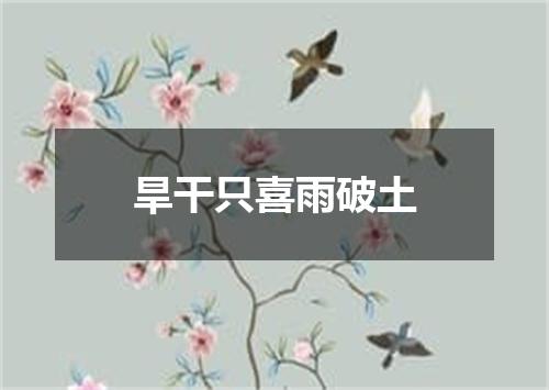 旱干只喜雨破土