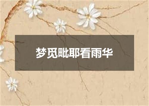 梦觅毗耶看雨华