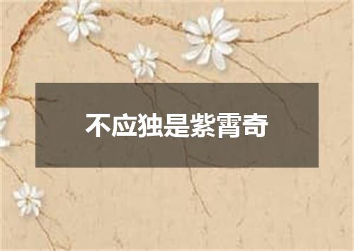 不应独是紫霄奇