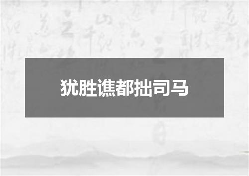 犹胜谯都拙司马