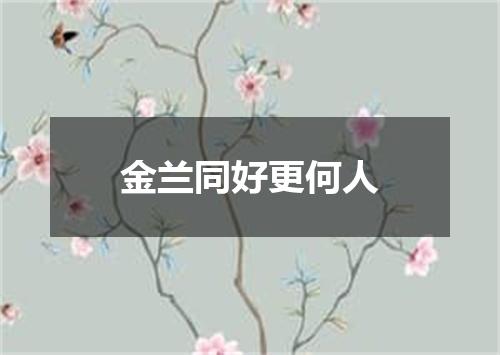 金兰同好更何人