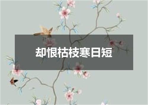 却恨枯枝寒日短