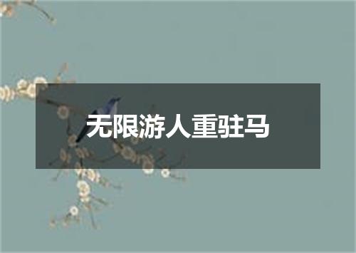 无限游人重驻马