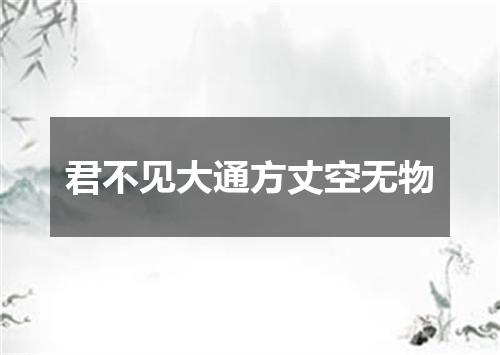君不见大通方丈空无物