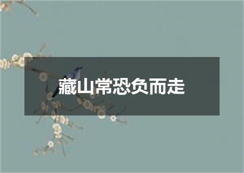 藏山常恐负而走