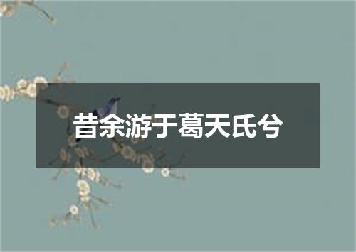 昔余游于葛天氏兮