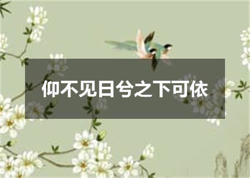 仰不见日兮之下可依
