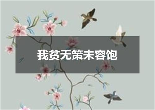 我贫无策未容饱