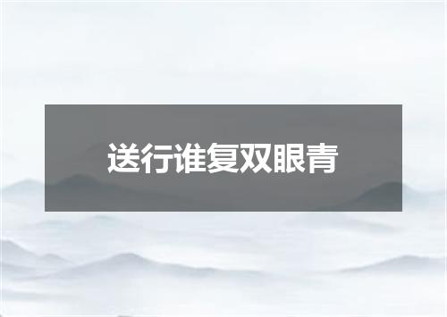 送行谁复双眼青
