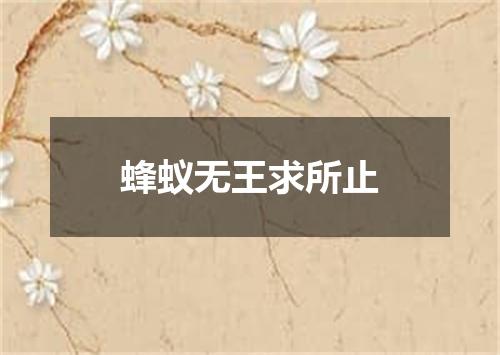 蜂蚁无王求所止