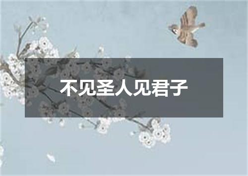 不见圣人见君子