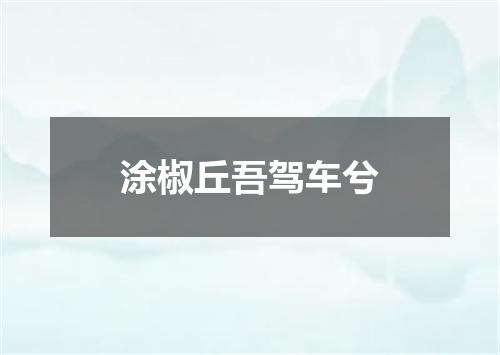 涂椒丘吾驾车兮