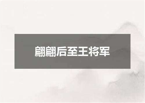 翩翩后至王将军