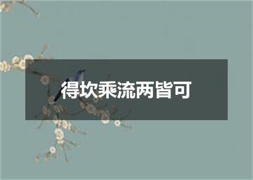 得坎乘流两皆可