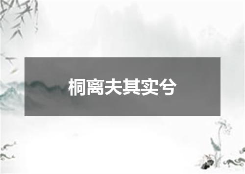 桐离夫其实兮