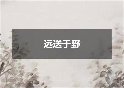 远送于野
