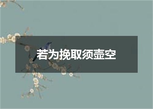 若为挽取须壶空